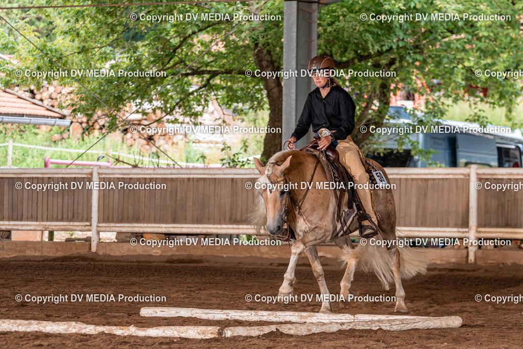 Erbach Tag 2-372 | dv-media-shop - Realisiert mit Pictrs.com