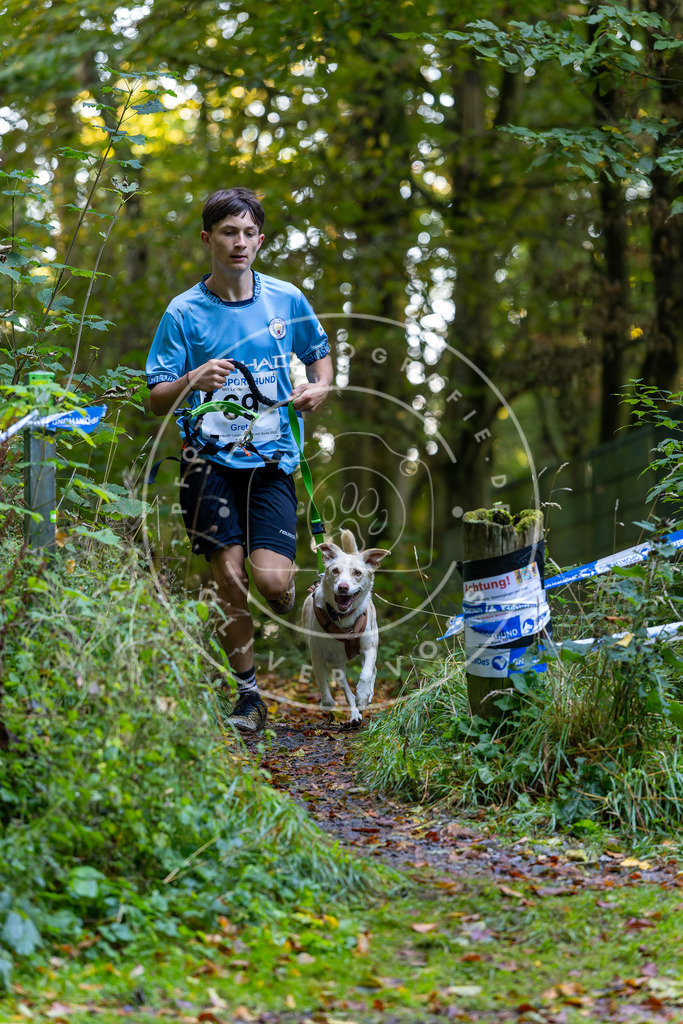 Pfotenfotografie_DV3A7322 | Hundefotografie, Tierfotograf, Pfotenfotografie, Fotoshooting Hund, Hunde Portrait, Hundesport, Hundeportraits, Heideshooting, Hunde, Sportfotograf, Hundefotograf, Turnierhundsport, THS,  - Realisiert mit Pictrs.com