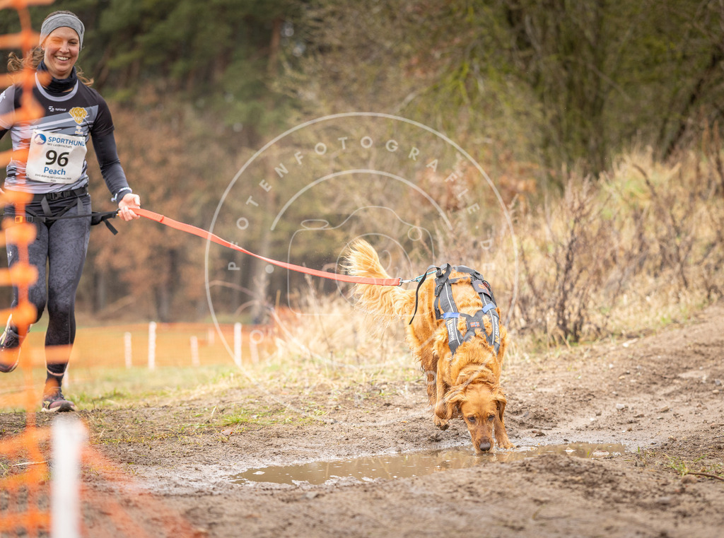 DV3A0558 | Hundefotografie, Tierfotograf, Pfotenfotografie, Fotoshooting Hund, Hunde Portrait, Hundesport, Hundeportraits, Heideshooting, Hunde, Sportfotograf, Hundefotograf, Turnierhundsport, THS,  - Realisiert mit Pictrs.com