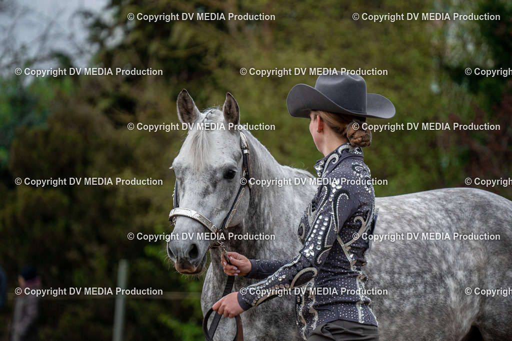 BA300053 | dv-media-shop - Realisiert mit Pictrs.com