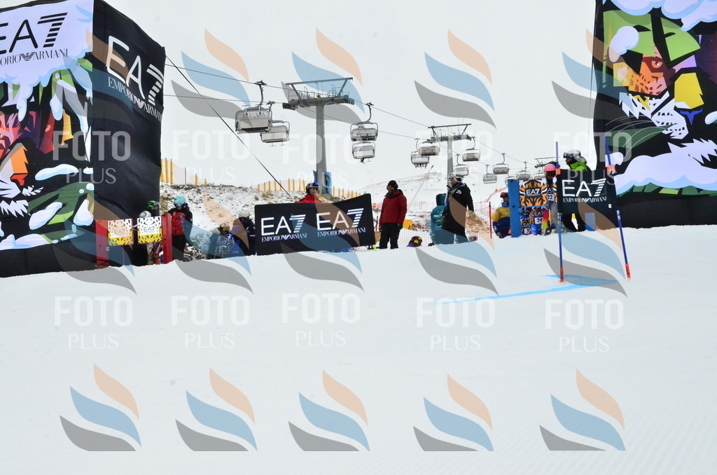 _ELE3278 | holidayphoto