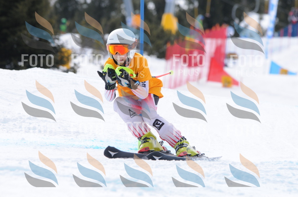 C7645 | holidayphoto