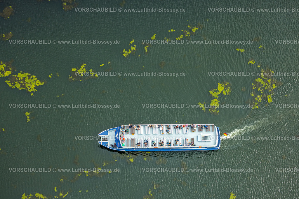 Witten240711191KemnaderSee | Luftbild, Kemnader Stausee mit Elodea, Wasserpest, Algenblüte, Segelboote und Stand-Up Paddeler, Witten, Nordrhein-Westfalen, Deutschland