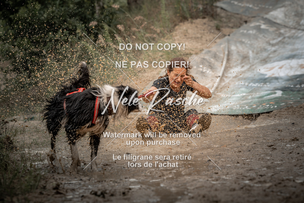 nelerasche_sa1300-1345_174 | nelerasche