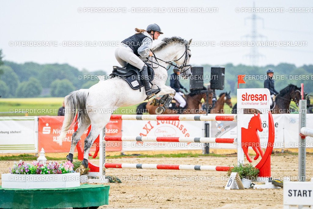 DSC08124 | Pferdegrafie