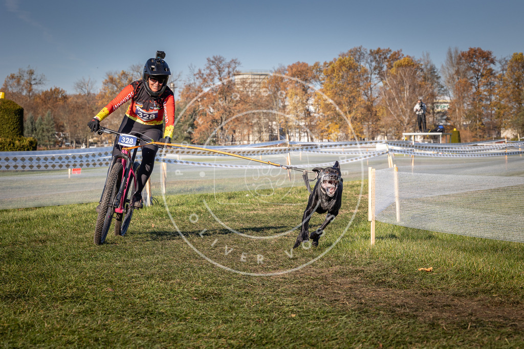 CaniXpix_0L8A5762 | Hundefotografie, Tierfotograf, Pfotenfotografie, Fotoshooting Hund, Hunde Portrait, Hundesport, Hundeportraits, Heideshooting, Hunde, Sportfotograf, Hundefotograf, Turnierhundsport, THS,  - Realisiert mit Pictrs.com