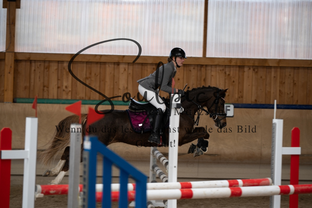 A7V00908 | Pferdefotograf