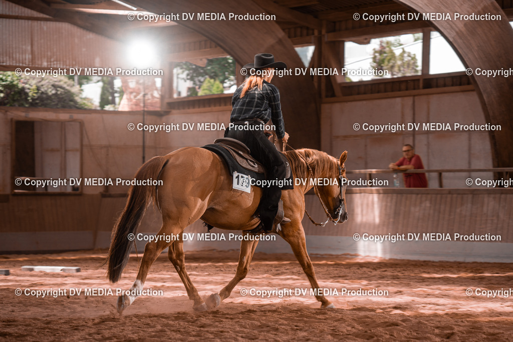 NE100586 | dv-media-shop - Realisiert mit Pictrs.com