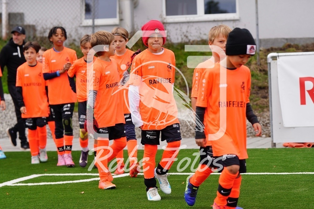 SON06880 | rabefotos