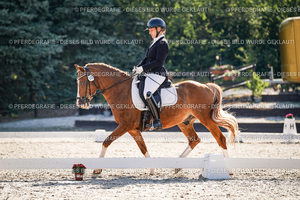 DSC09928 | Pferdegrafie