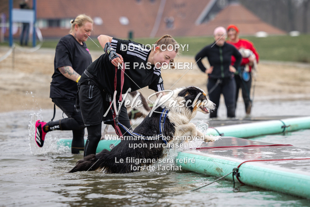 nelerasche_Hulsbeek_Sa1130-1230_212 | nelerasche