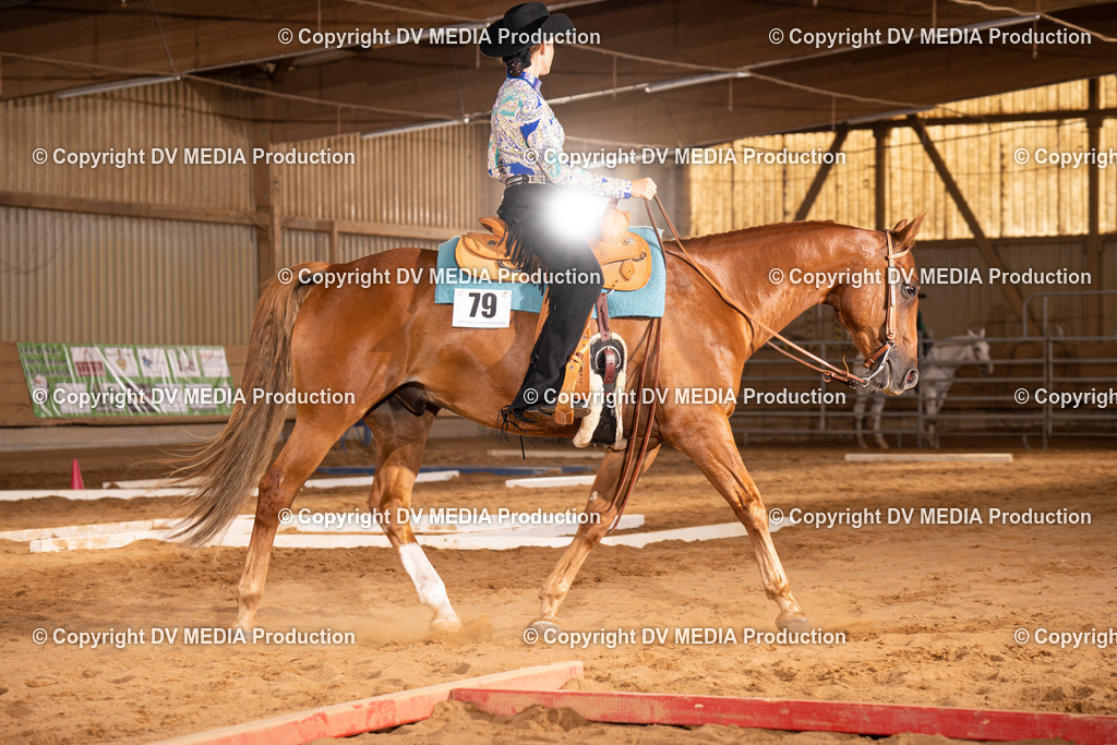 NID00571 | dv-media-shop - Realisiert mit Pictrs.com