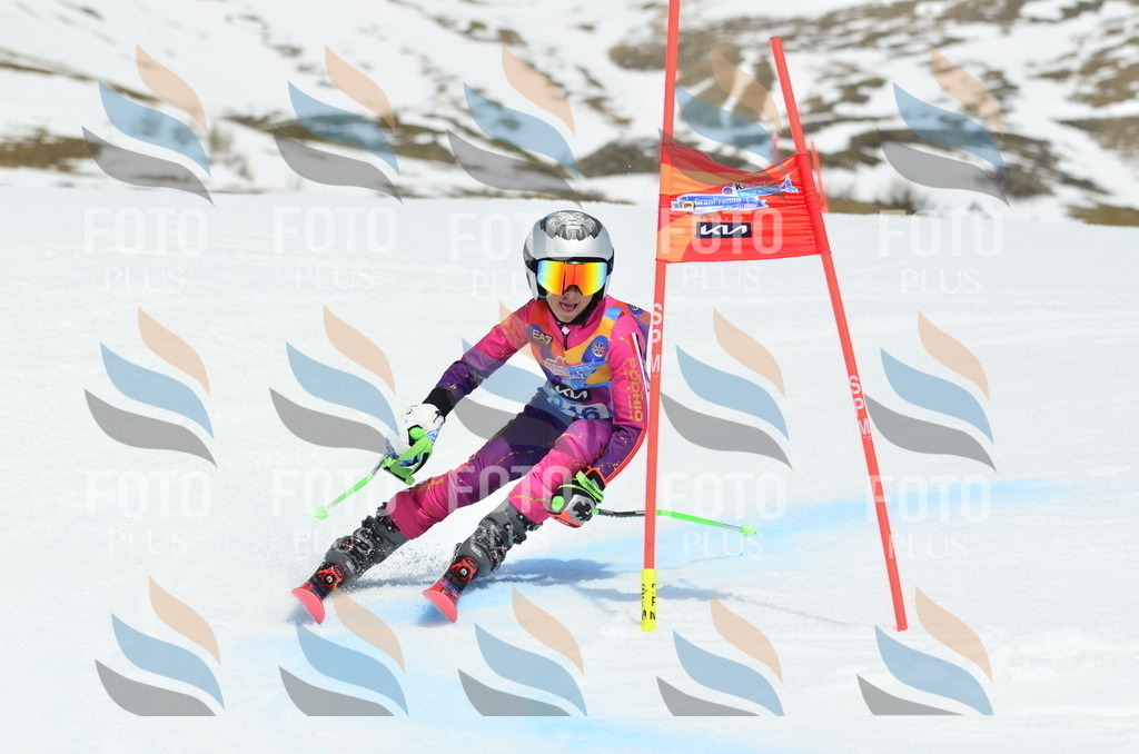 _ELE2629 | holidayphoto