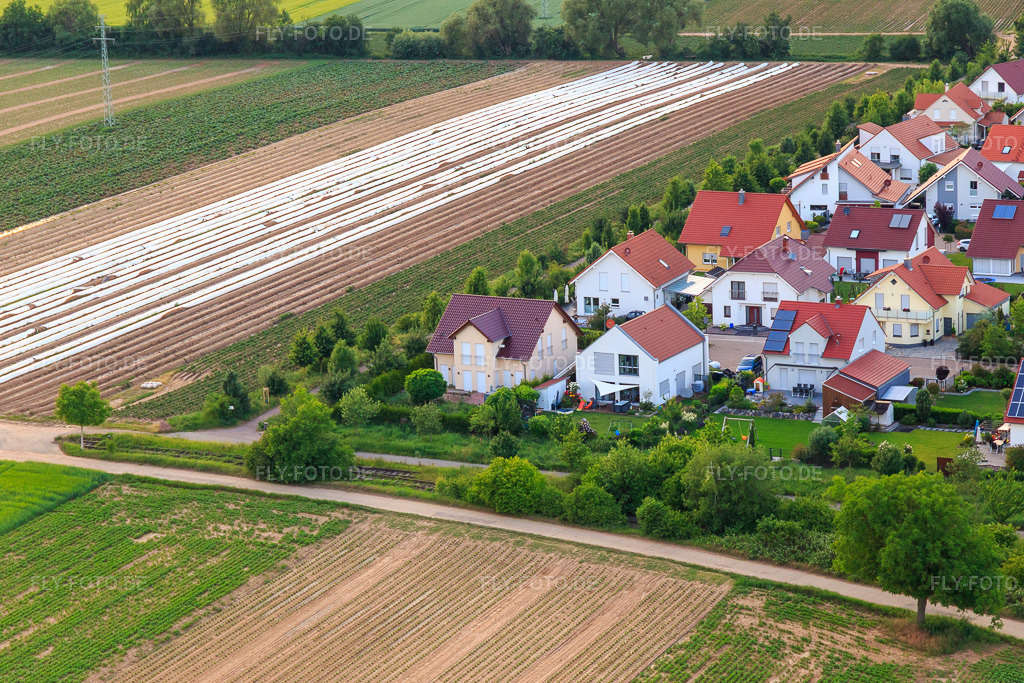 Luftbild: Unteres Rappenfeld im Ortsteil Mörlheim in Landau im Bundesland Rheinland-Pfalz in Deutschland. Foto: IMG_100597.jpg vom 01.06.2017 durch Werner Riehm/FLY-FOTO.de