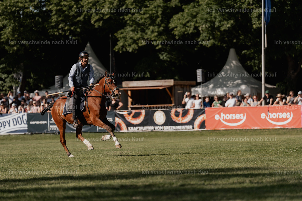 7C_05296 | Pferd International München 2025