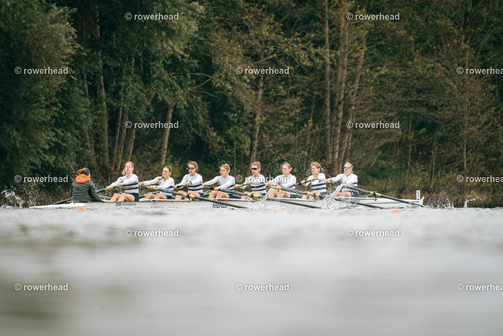 20251005_rowerhead_R041_S0670_DSC08481 | rowerhead - Realisiert mit Pictrs.com