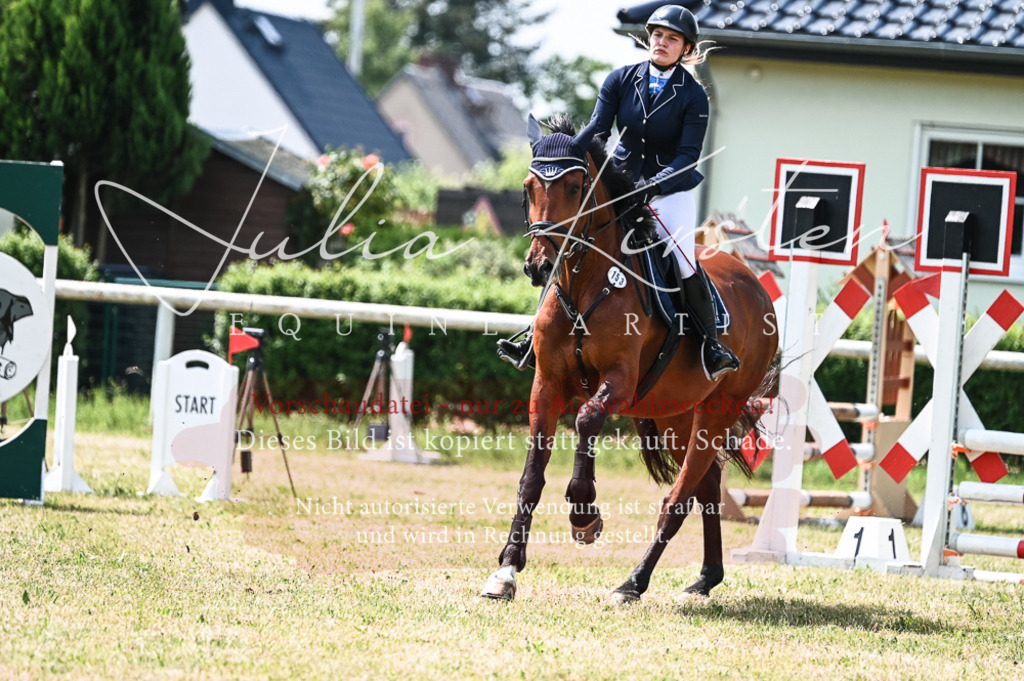 DSC_9330 | Pferde- und Turnierfotografie in Westsachsen. Pferdeportraits, Auftragszeichnungen und intuitive Kunst.