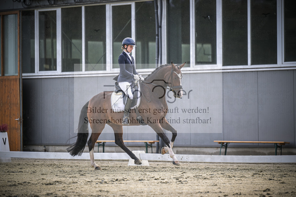 DOS_2309 | Entdecke hochwertige Reitturnierfotos von Foto Oger. Professionell, emotional und authentisch – jetzt Lieblingsmomente im Shop bestellen.Deutschlandweite Turnierfotografie. - Realisiert mit Pictrs.com