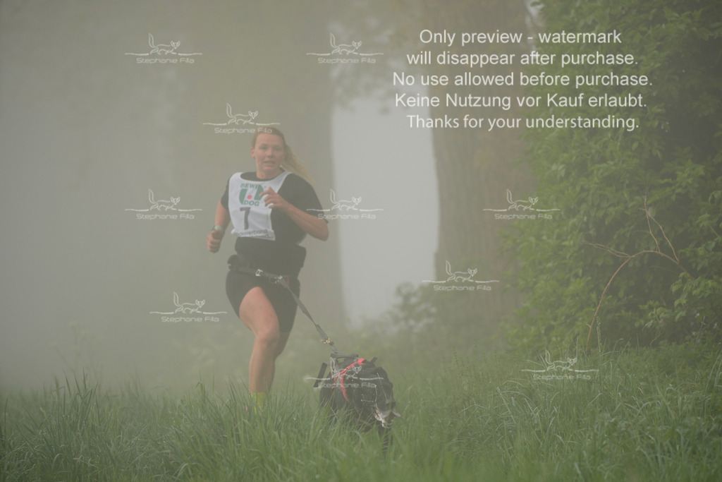 SA_GL2-36 | stephaniefillaphotographie - Realisiert mit Pictrs.com