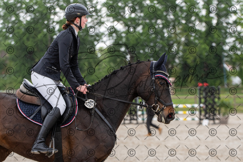 KPT_7622 | andre_photographic