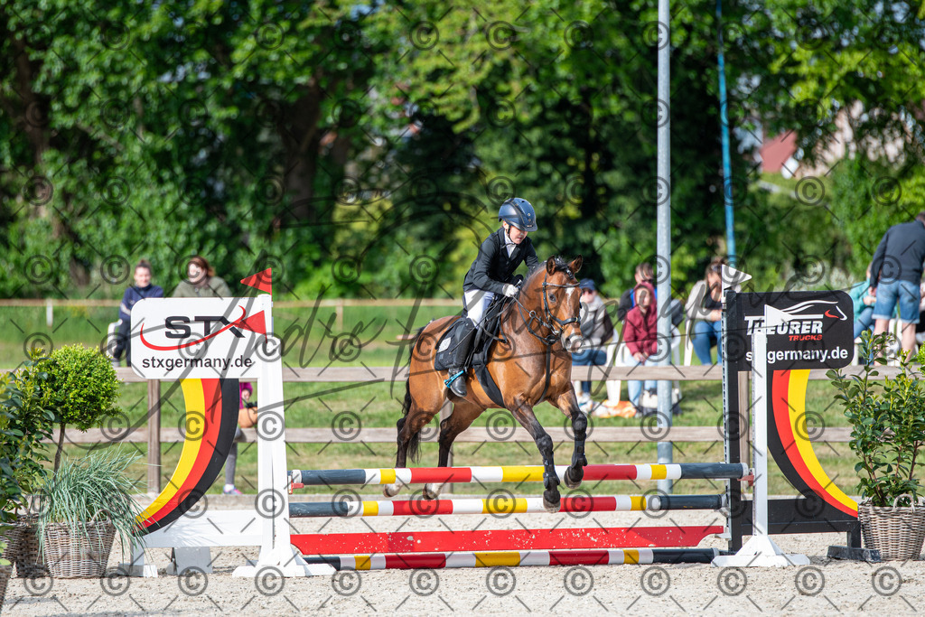 KPT_6710 | andre_photographic