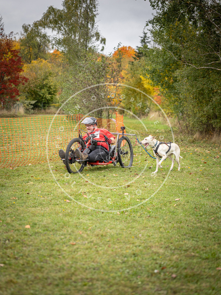 Pfotenfotografie_DV3A3507 | Hundefotografie, Tierfotograf, Pfotenfotografie, Fotoshooting Hund, Hunde Portrait, Hundesport, Hundeportraits, Heideshooting, Hunde, Sportfotograf, Hundefotograf, Turnierhundsport, THS,  - Realisiert mit Pictrs.com