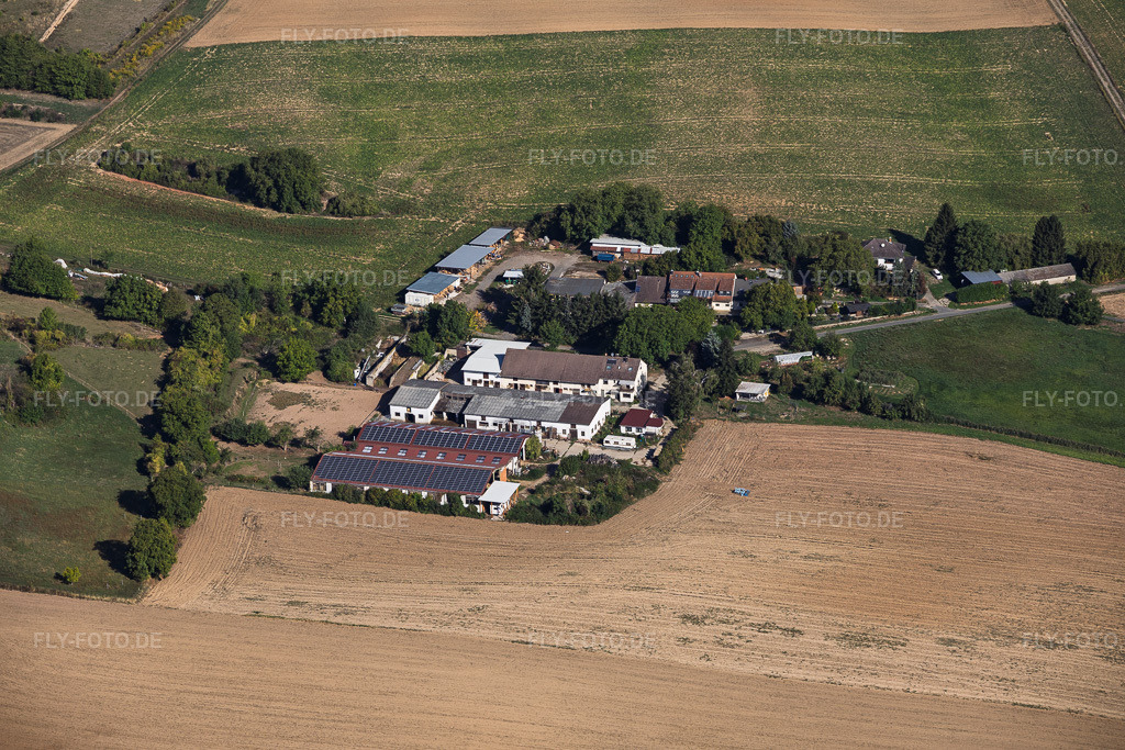 Luftbild: Aussiedlerhof Roth im Ortsteil Radheim in Schaafheim im Bundesland Hessen in Deutschland. – Foto: IMG_159137.jpg vom 22.09.2026 durch Werner Riehm/FLY-FOTO.de – Auflösung des Originals: 6000 x 4000 px