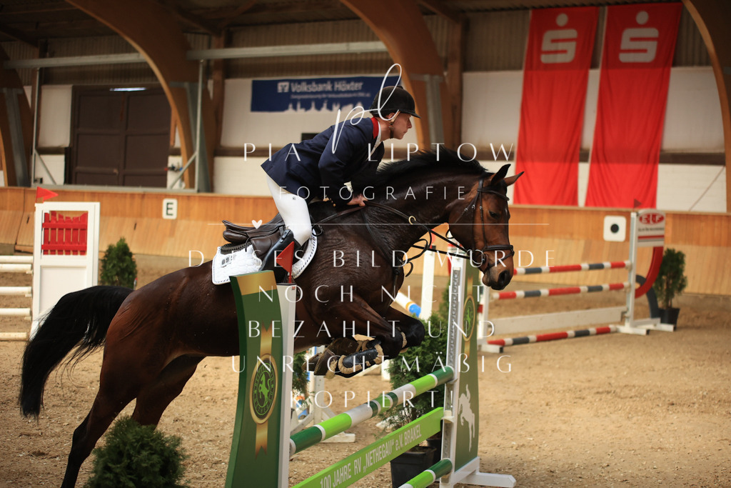 IMGT1155 | pl-fotografie