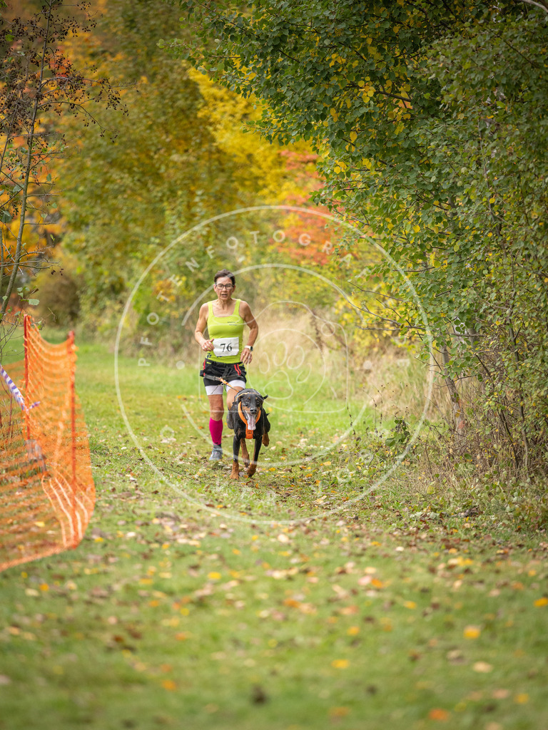 Pfotenfotografie_DV3A2939 | Hundefotografie, Tierfotograf, Pfotenfotografie, Fotoshooting Hund, Hunde Portrait, Hundesport, Hundeportraits, Heideshooting, Hunde, Sportfotograf, Hundefotograf, Turnierhundsport, THS,  - Realisiert mit Pictrs.com