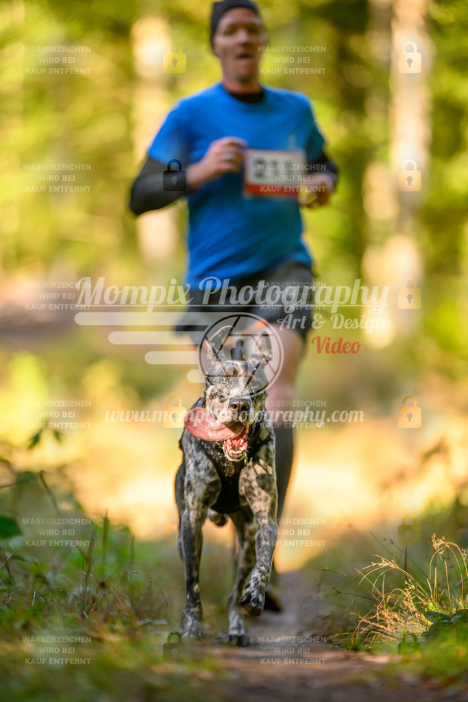 MompixPhotography_Yens2025_B3-88 | PayLife