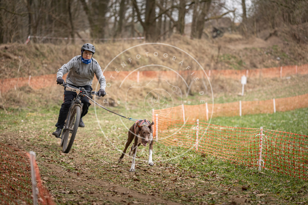 Pfotenfotografie_DV3A6902 | Hundefotografie, Tierfotograf, Pfotenfotografie, Fotoshooting Hund, Hunde Portrait, Hundesport, Hundeportraits, Heideshooting, Hunde, Sportfotograf, Hundefotograf, Turnierhundsport, THS,  - Realisiert mit Pictrs.com