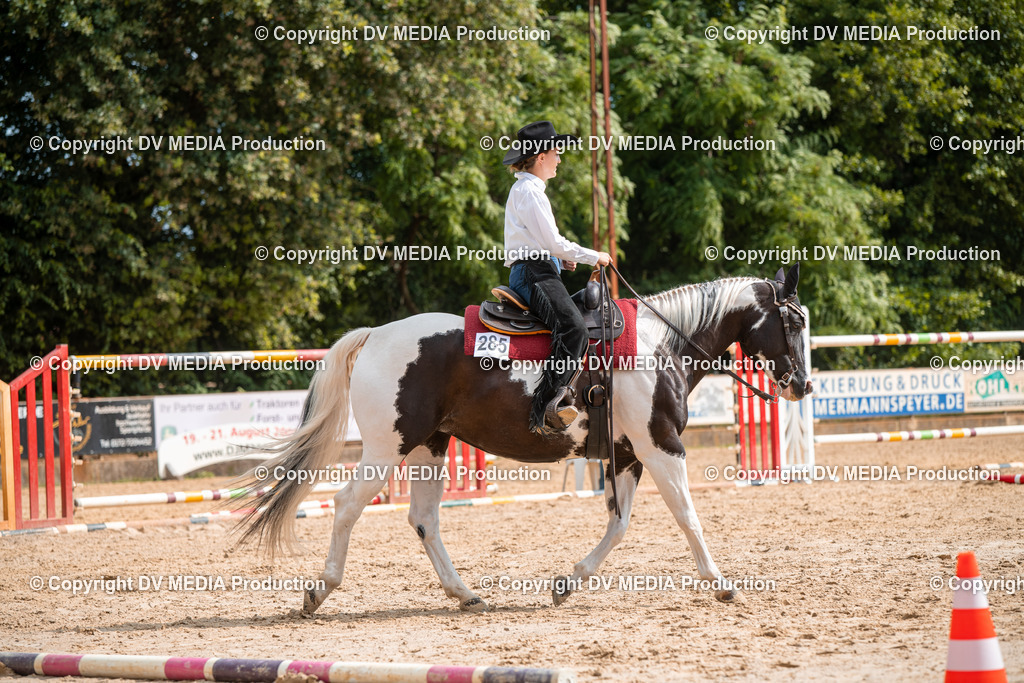 ZS2_7709 | dv-media-shop - Realisiert mit Pictrs.com