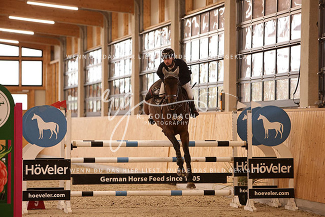 1J2A9617Jan Zdeb_ Jelte DD_ Kn295_ Glantz_ Hohen Wieschendorf | Foto- und Videografie für alles rund ums Pferd. Hochwertige Bilder und Videos vom Spring- und Dressurreiten, Voltigieren & mehr. Jetzt aktuelle Veranstaltungen und Preise im Shop ansehen. - Realisiert mit Pictrs.com