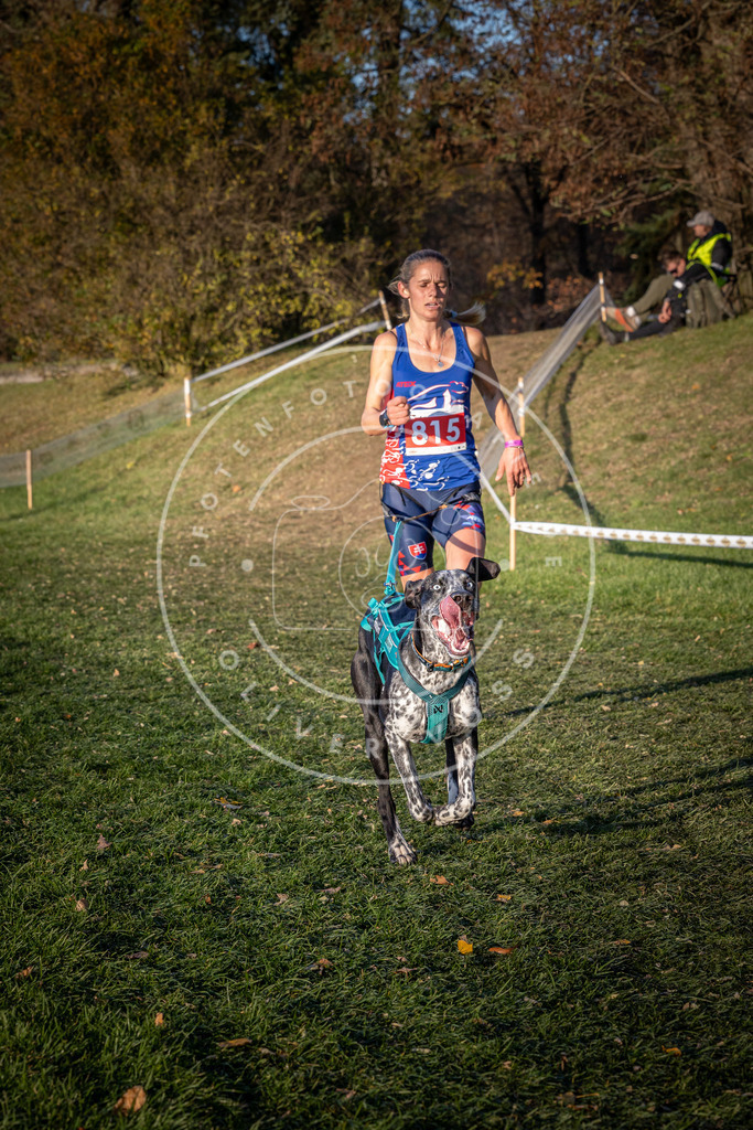 CaniXpix_0L8A0469 | Hundefotografie, Tierfotograf, Pfotenfotografie, Fotoshooting Hund, Hunde Portrait, Hundesport, Hundeportraits, Heideshooting, Hunde, Sportfotograf, Hundefotograf, Turnierhundsport, THS,  - Realisiert mit Pictrs.com