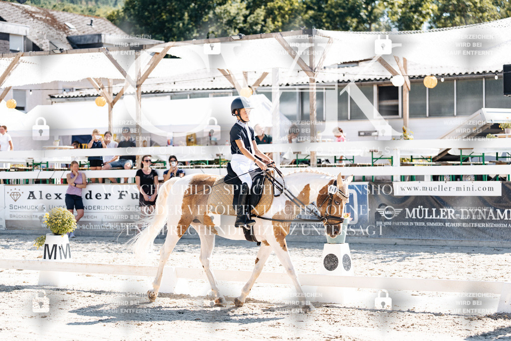 CK902415 | Turnierfotografie Pferdefotografie Trier Rheinland-Pfalz Pferdesport Reitsport Tierfotografie Sportfotografie Pferdevideo Pferdevideografie Equestrianvideography equestrianphotography  - Realisiert mit Pictrs.com