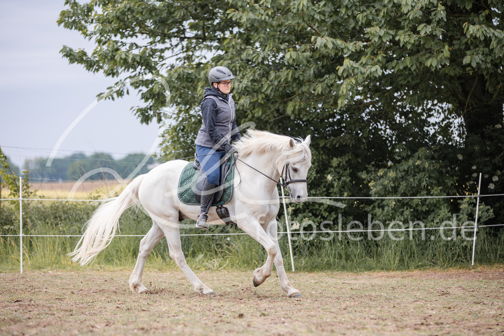 846A0054 | fotosleben - Realisiert mit Pictrs.com