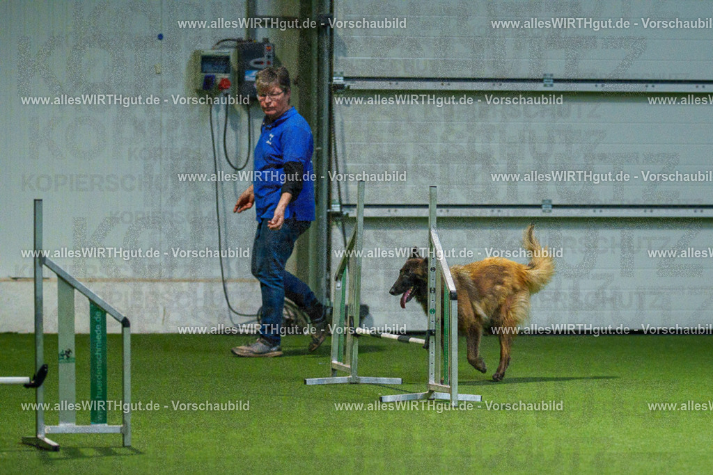 7R507881 | Professionelle Tierfotografie in Mönchengladbach von Daniel Wirth (allesWIRTHgut). Liebevolle & natürliche Bilder von Hunden & Katzen für unvergessliche Erinnerungen.