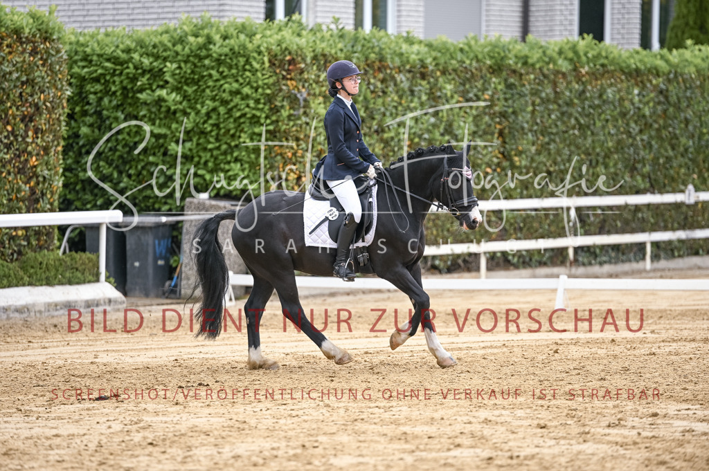 Schugtsche-Aluta25-42.EDressur -388 | Schugtsche Fotografie - Realisiert mit Pictrs.com