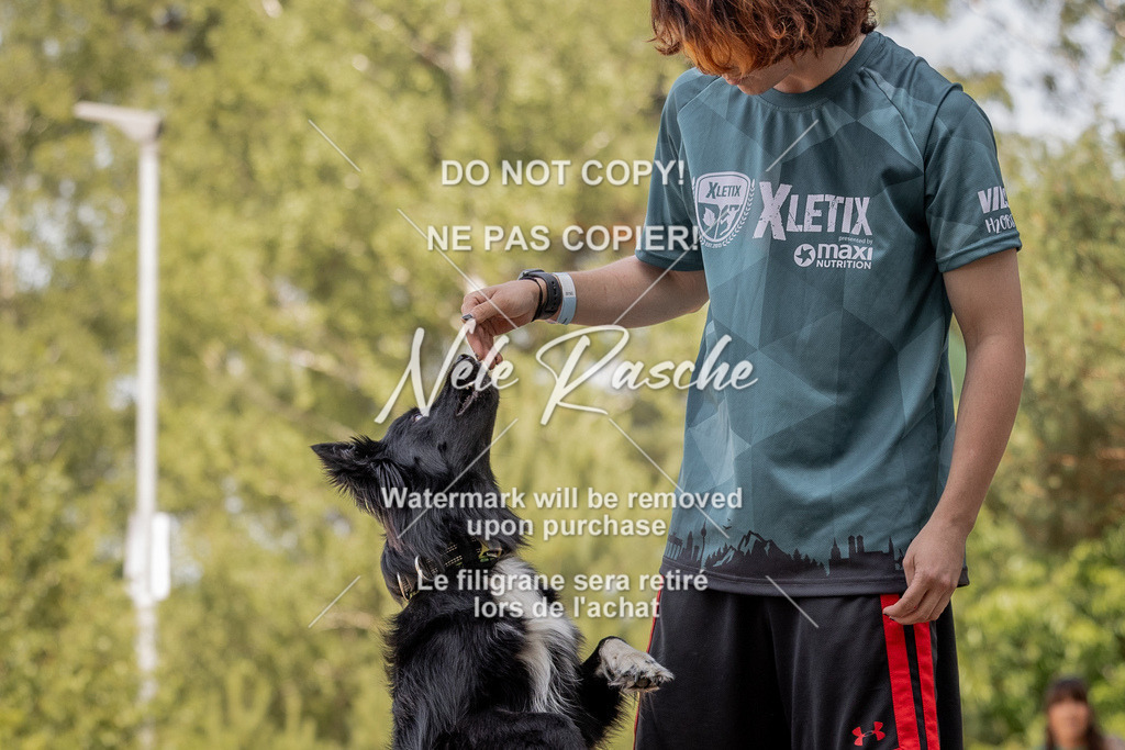 nelerasche_soDD2_342 | nelerasche
