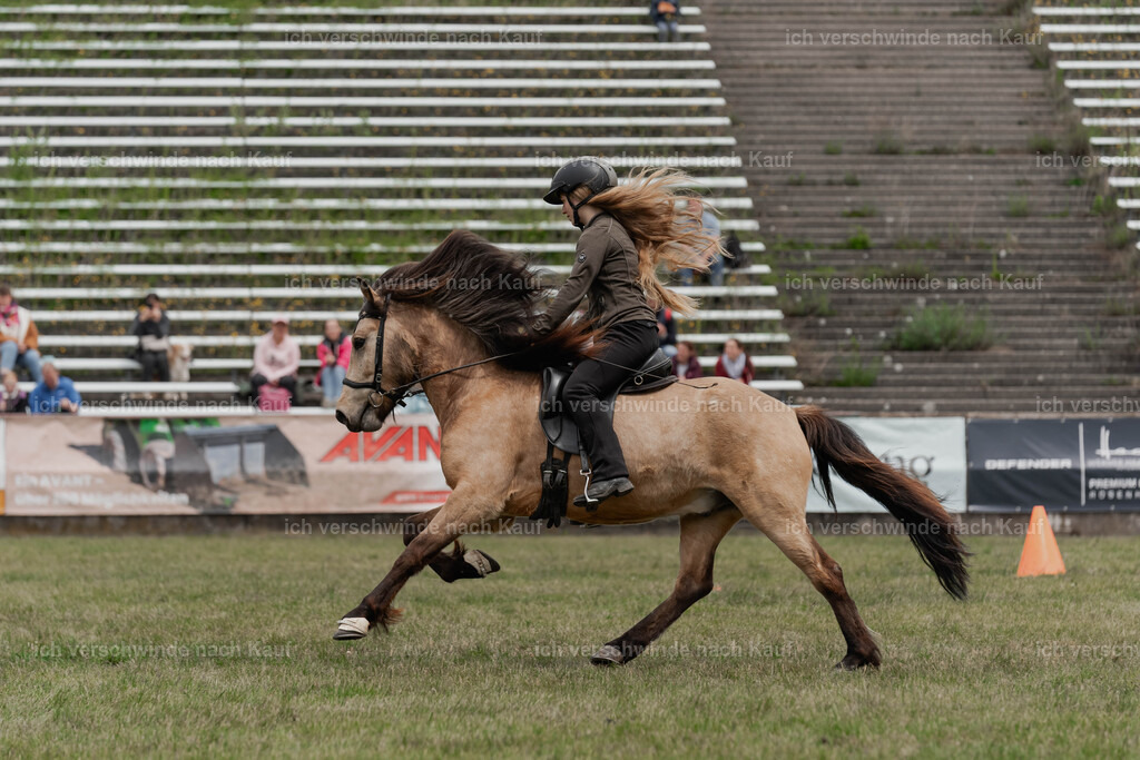 Showprogramm-205 | working equitationturnier fotograf videograf stoibphotography marixx film working equitation deutschland reitsport turnierfotografie eventfotografie equestrian events
