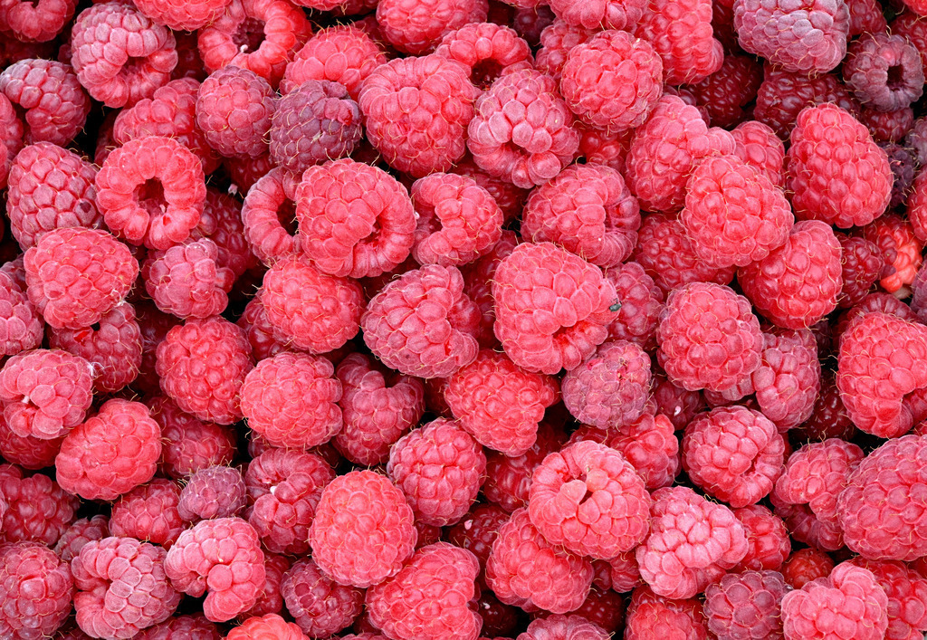 Himbeeren01-3 | lucisnaturbilder - Realisiert mit Pictrs.com