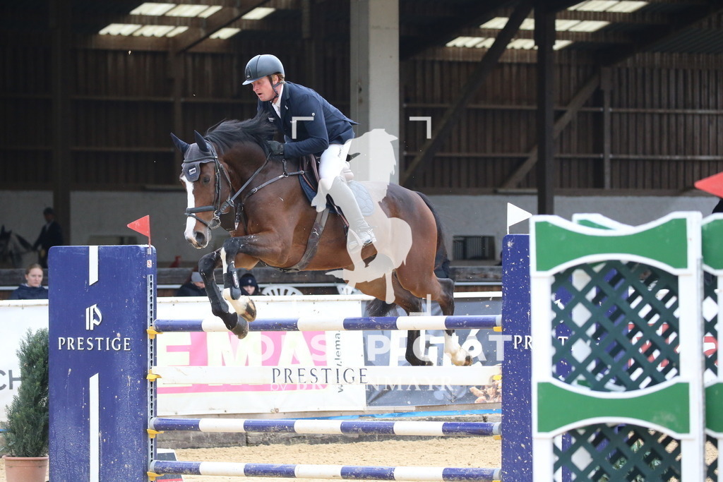 DL2Q2900 | Willkommen bei Brunnmayr - Design & Fotografie – Ihrem Spezialisten für Reitturniere und Pferdeveranstaltungen in Oberösterreich, Salzburg und Bayern! Seit über 17 Jahren sind wir leidenschaftlich dabei.