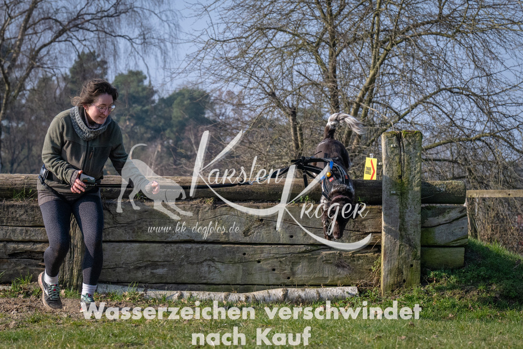 _ZZ91502 | kk-dogfotos