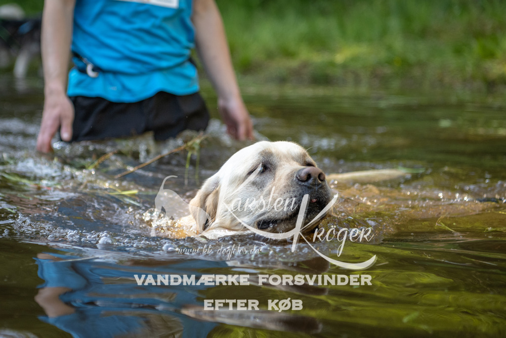 1758DKK993054 | kk-dogfotos