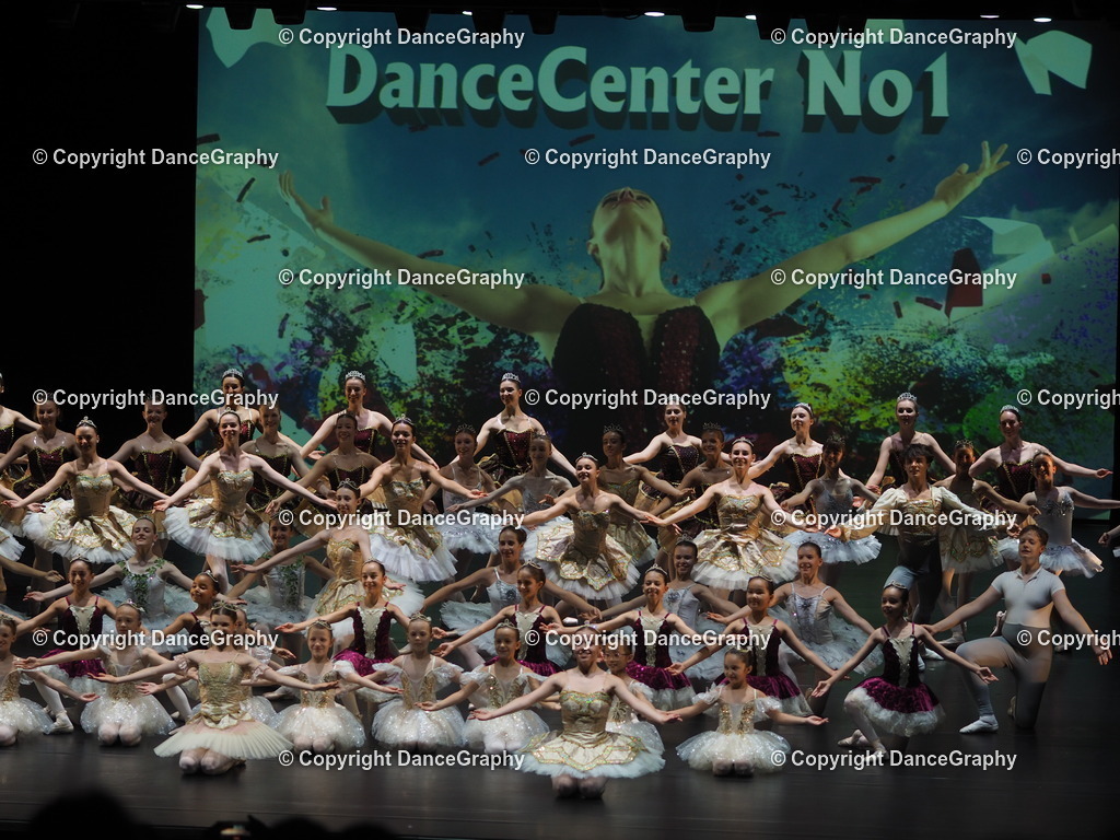 P7260469 | DanceGraphy - Realisiert mit Pictrs.com