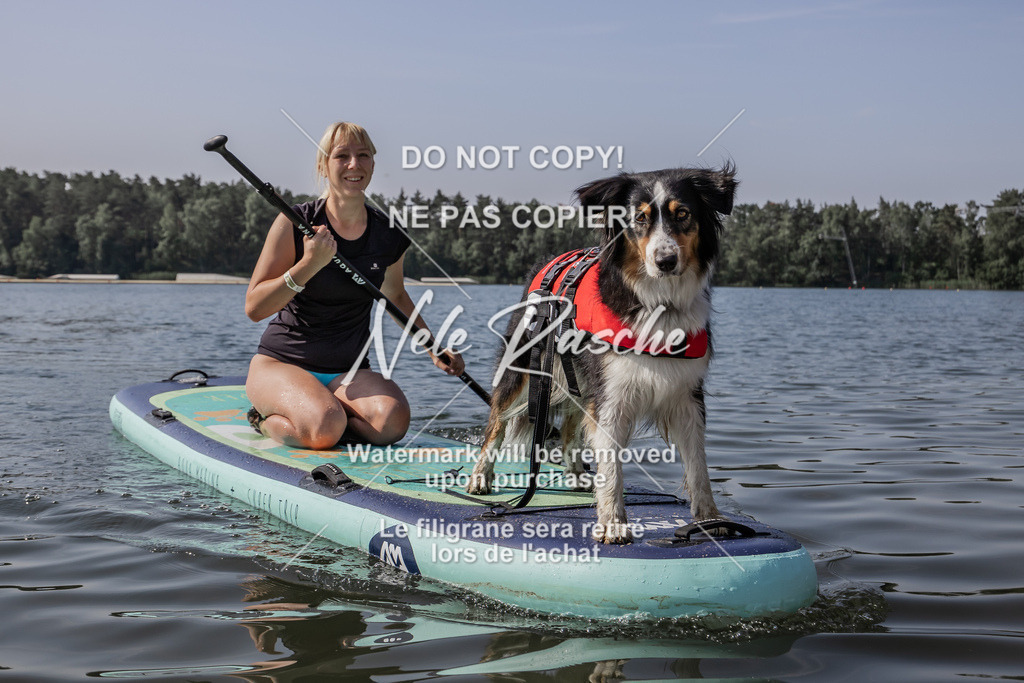 BUHU_SUP_174 | nelerasche
