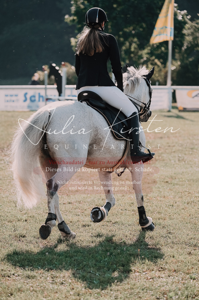 DSC_4448 | Pferde- und Turnierfotografie in Westsachsen. Pferdeportraits, Auftragszeichnungen und intuitive Kunst.