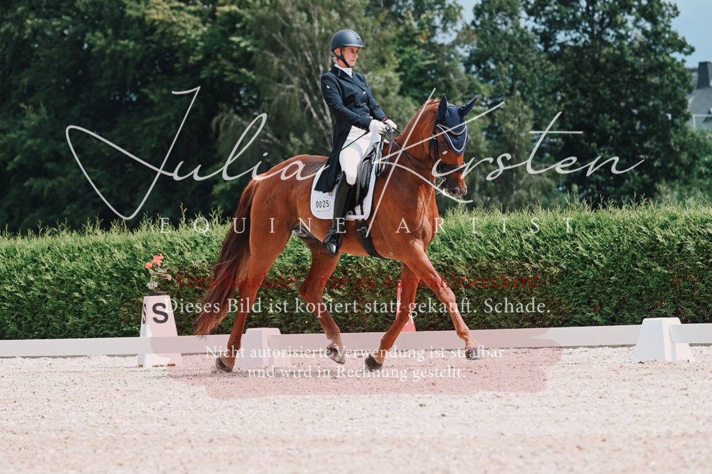 DSC_4211 | Pferde- und Turnierfotografie in Westsachsen. Pferdeportraits, Auftragszeichnungen und intuitive Kunst.