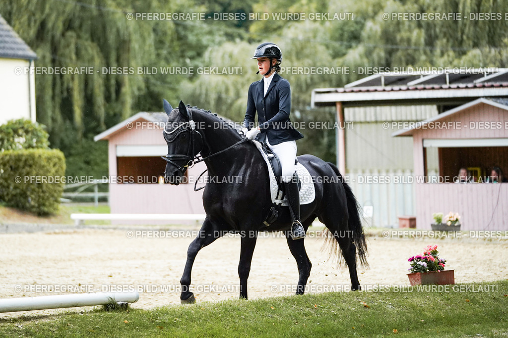 DSC00191 | Pferdegrafie