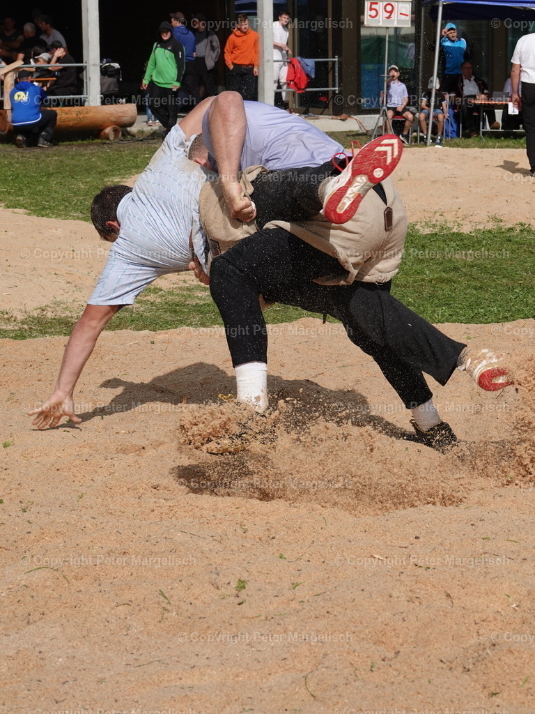DSC05776 | Schwingen - Realisiert mit Pictrs.com